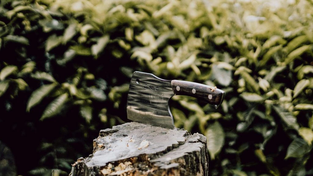 Free stock photo of asia, asian, bogor