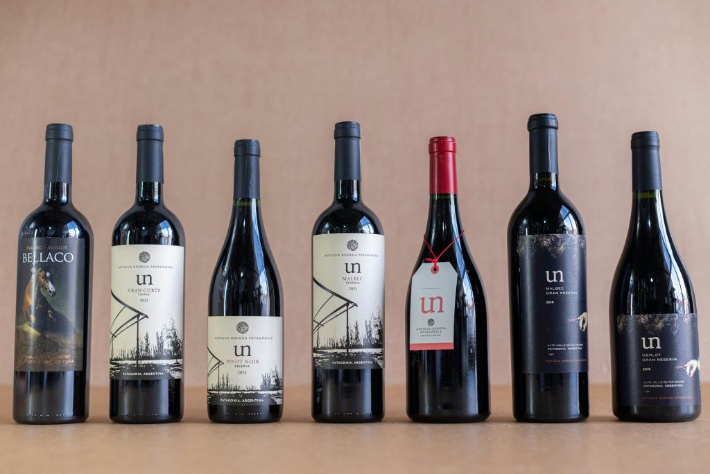 Free stock photo of alcohol, beverage, celebration