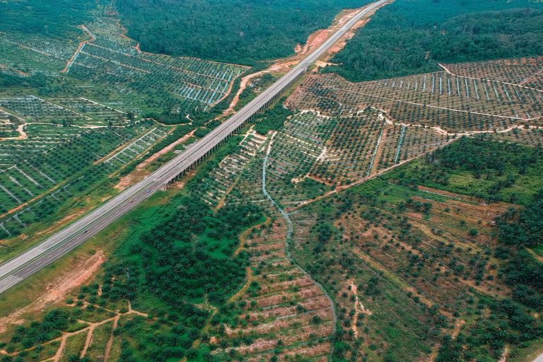 Aerial shot of agricultural fields and highway in Kemaman, Terengganu, Malaysia.