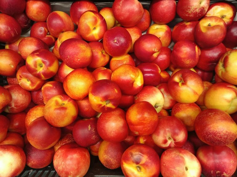 Fresh nectarines