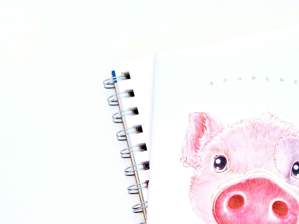 Close-up of a notebook featuring a cute pink pig illustration with a white background.