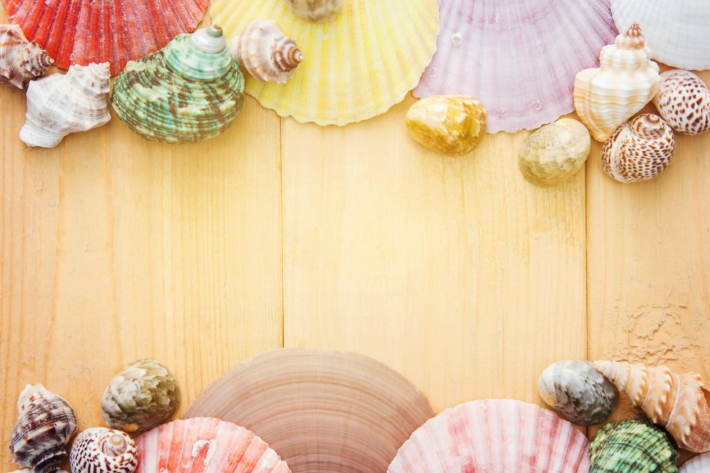 Vibrant seashell collection arranged on a wooden background, perfect for summer themes.