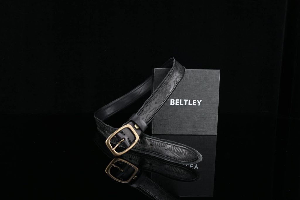 Free stock photo of belt, crocodile, leather