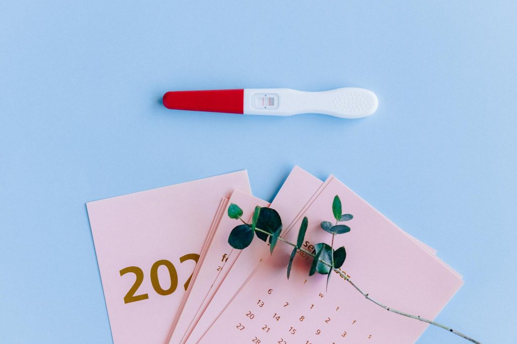Pregnancy test on pastel flat lay with calendar and eucalyptus branch, symbolizing new beginnings.
